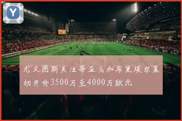 尤文图斯关注蒂亚戈加布里埃尔莱切开价3500万至4000万欧元